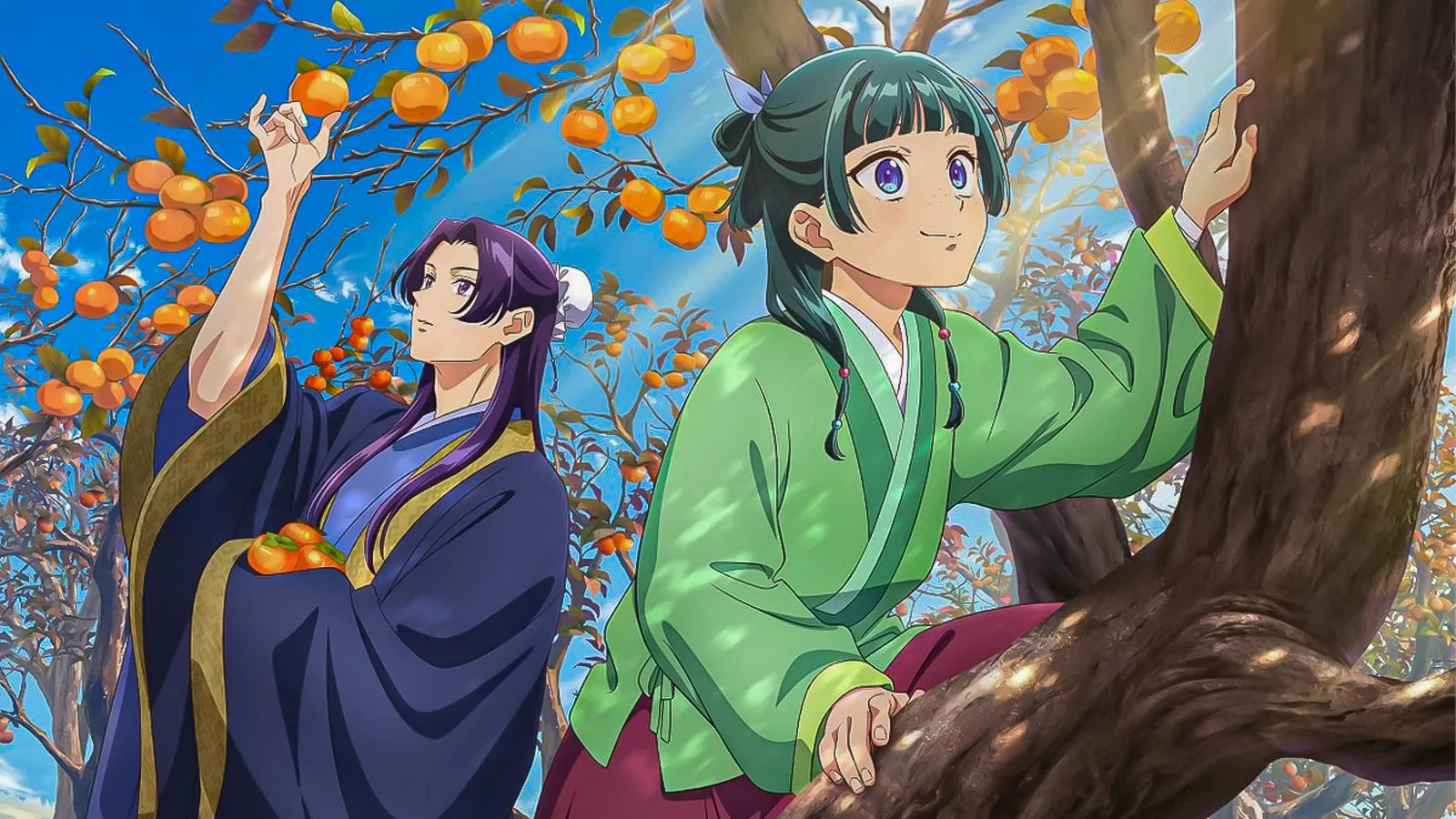 The Apothecary Diaries Characters